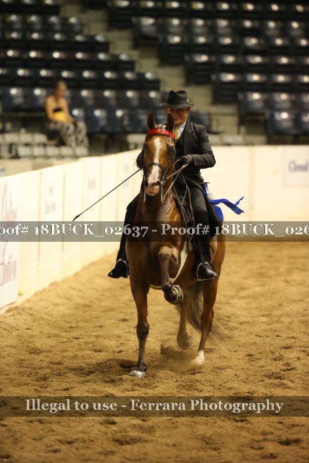 Proof Number 18BUCK_02637