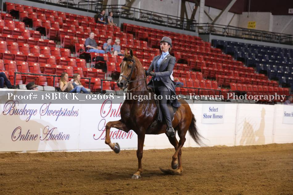Proof Number 18BUCK_02668