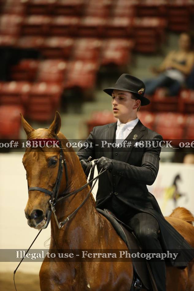 Proof Number 18BUCK_02691