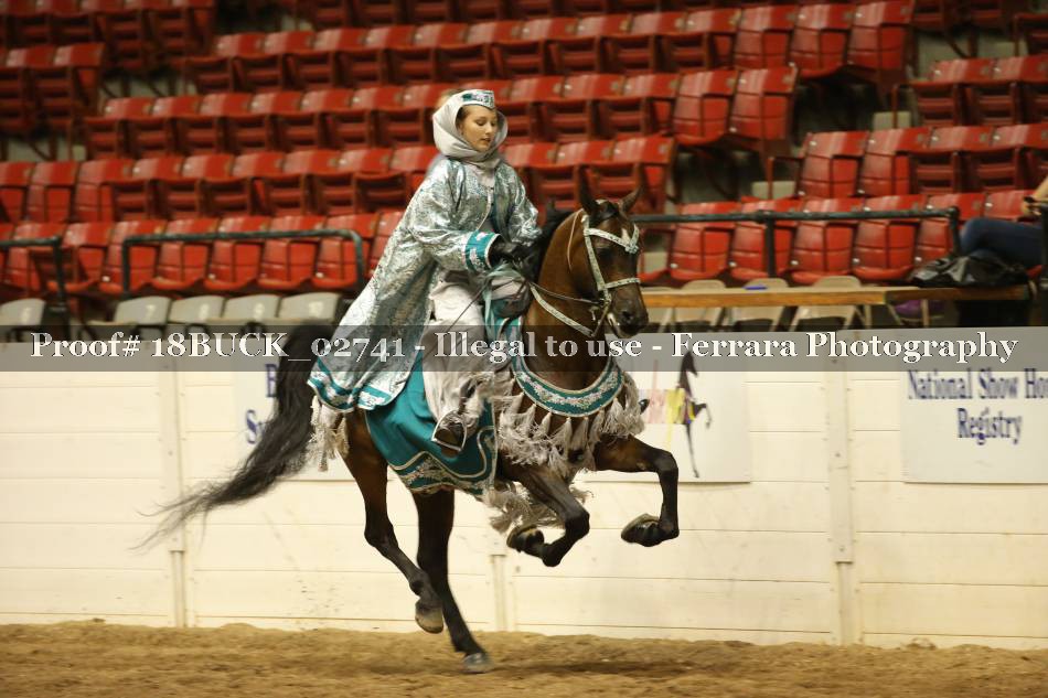 Proof Number 18BUCK_02741