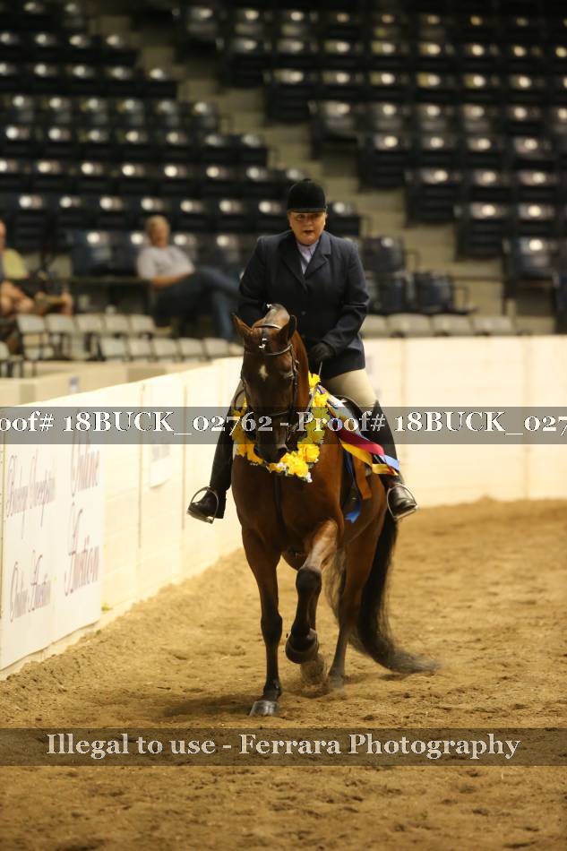 Proof Number 18BUCK_02762