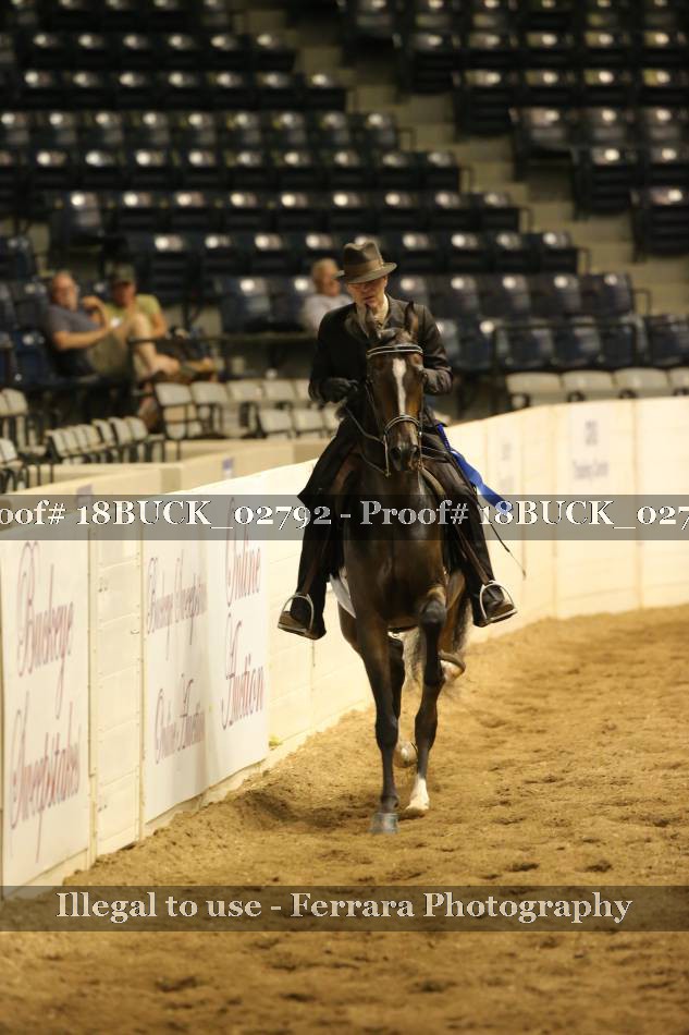 Proof Number 18BUCK_02792