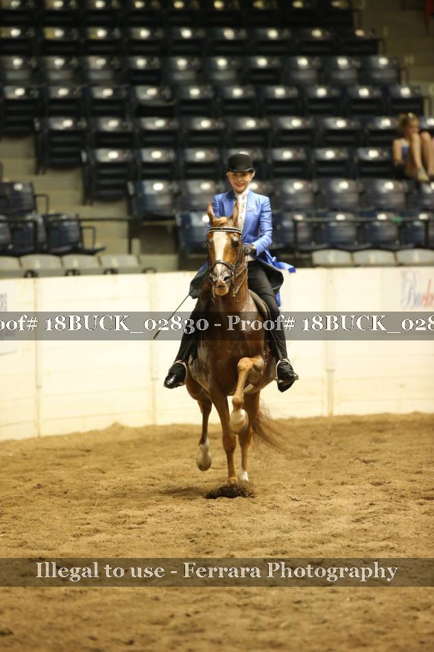 Proof Number 18BUCK_02830