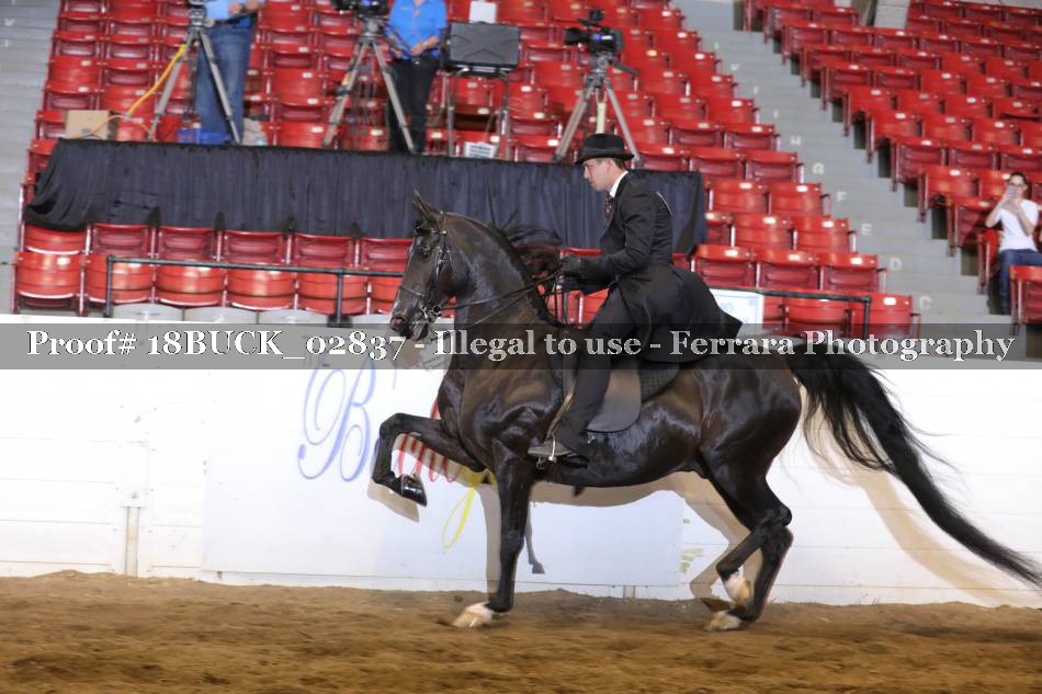 Proof Number 18BUCK_02837