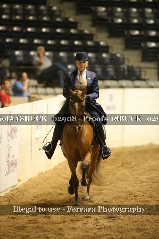 Proof Number 18BUCK_02908