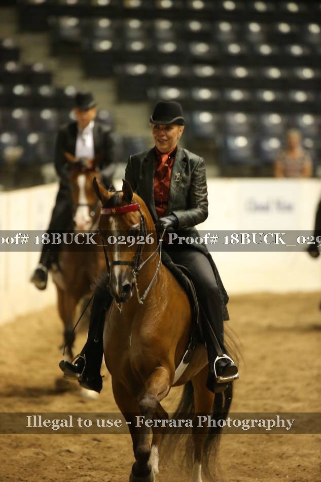 Proof Number 18BUCK_02926