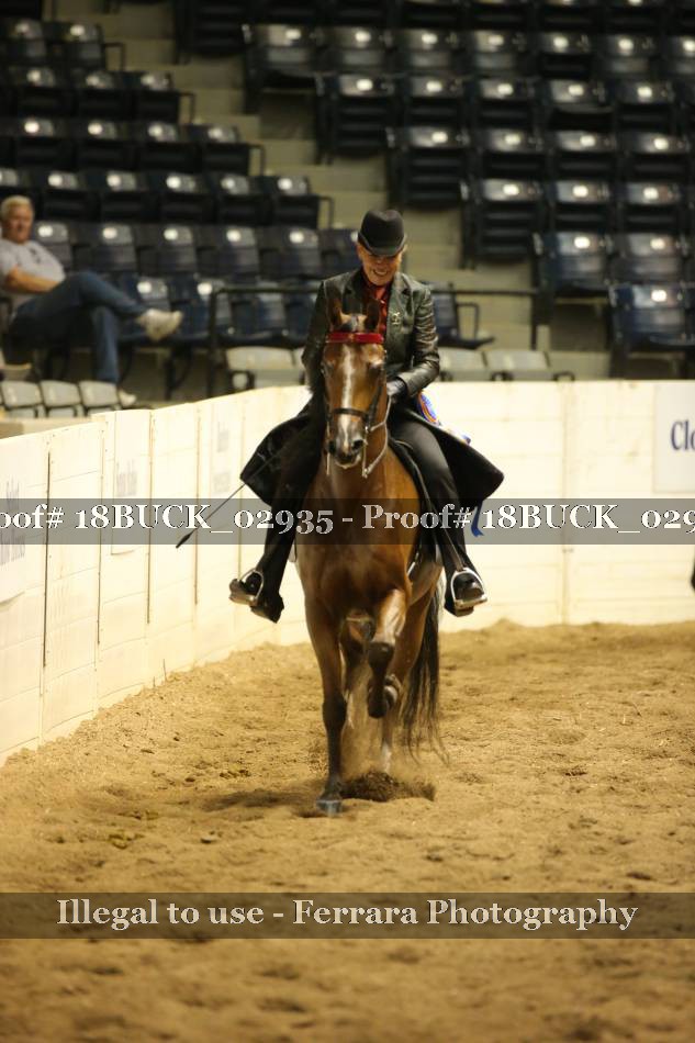 Proof Number 18BUCK_02935