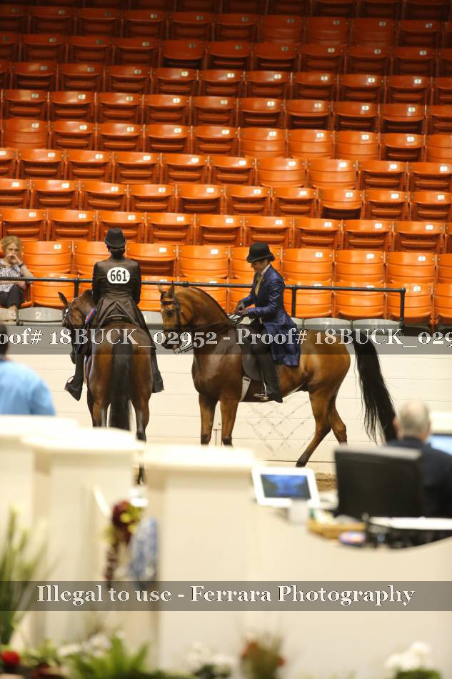 Proof Number 18BUCK_02952