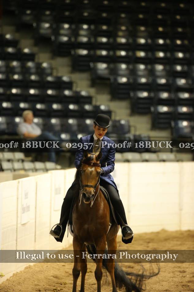 Proof Number 18BUCK_02957