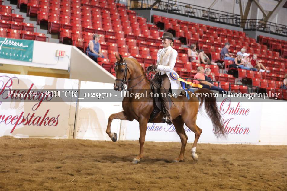 Proof Number 18BUCK_02970