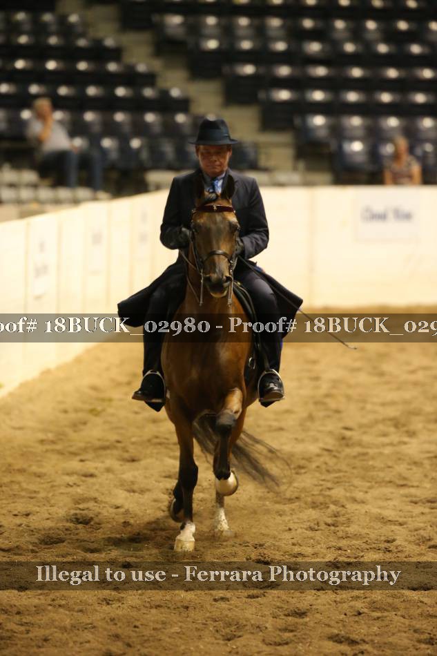 Proof Number 18BUCK_02980