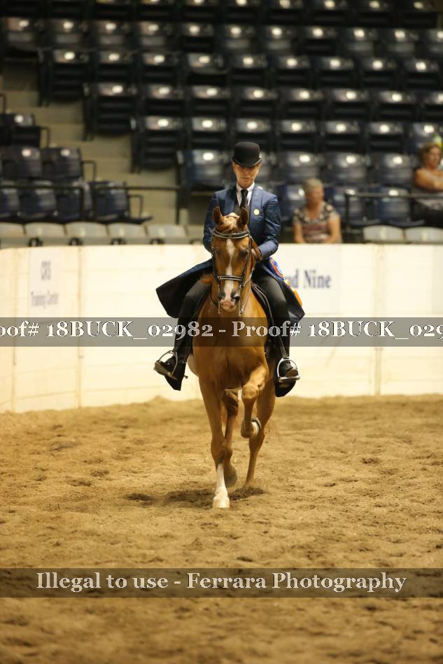 Proof Number 18BUCK_02982
