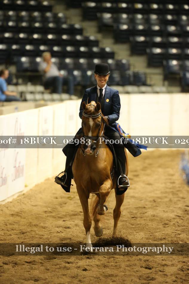 Proof Number 18BUCK_02983