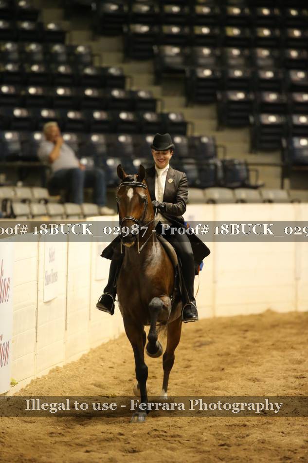 Proof Number 18BUCK_02987