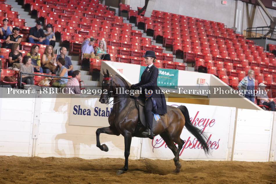 Proof Number 18BUCK_02992