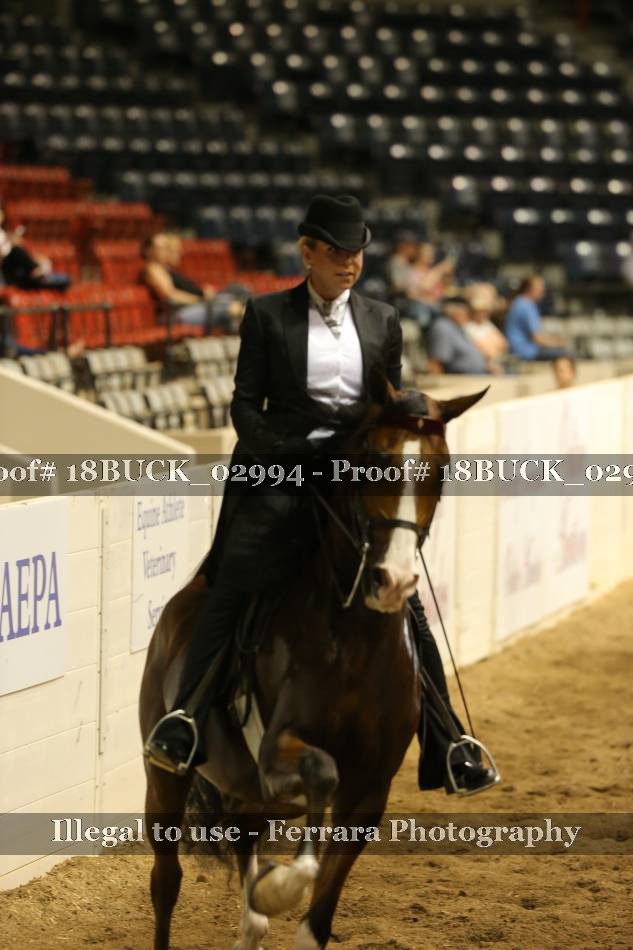 Proof Number 18BUCK_02994