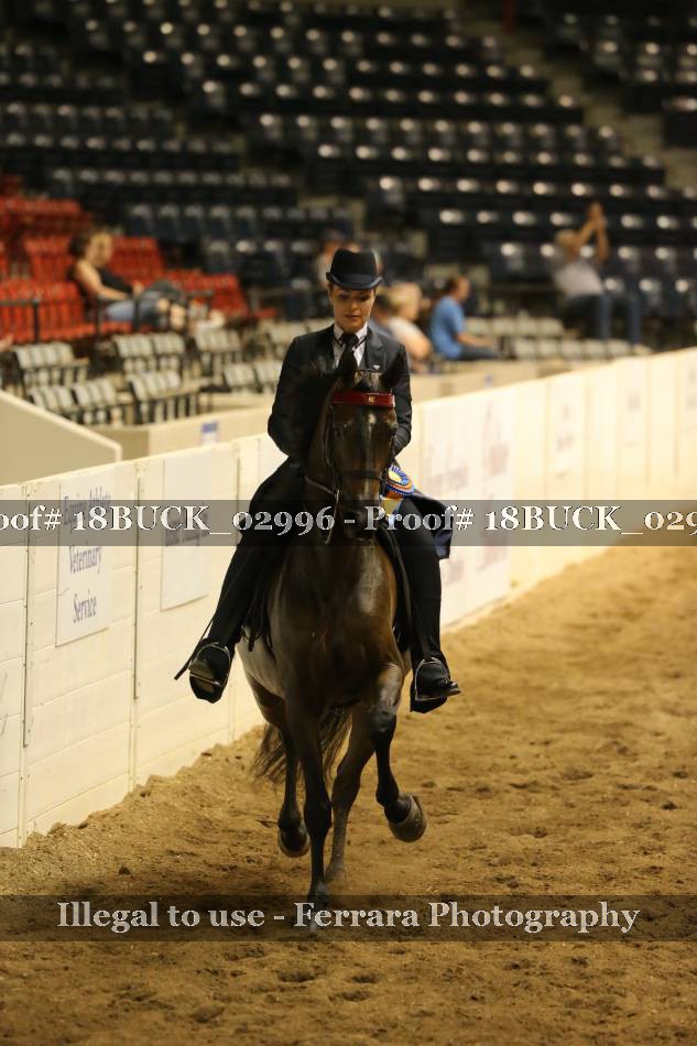 Proof Number 18BUCK_02996