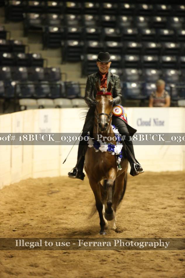 Proof Number 18BUCK_03000