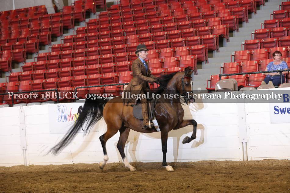 Proof Number 18BUCK_03292