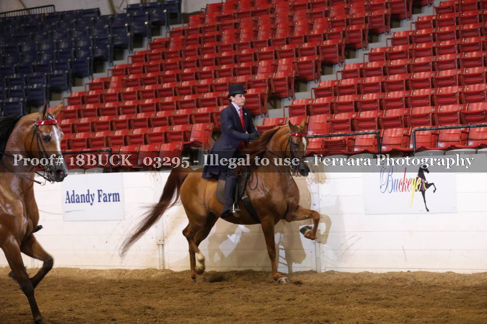 Proof Number 18BUCK_03295