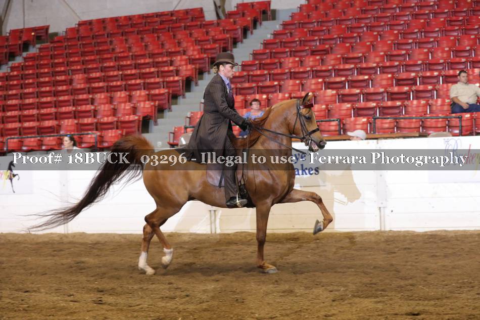 Proof Number 18BUCK_03296