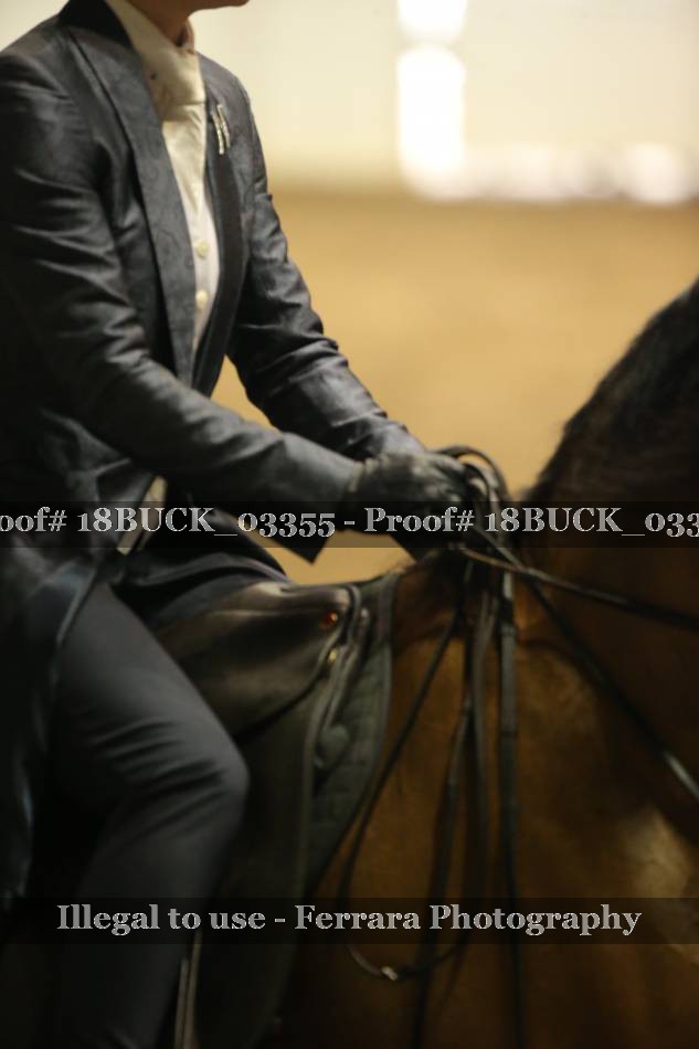 Proof Number 18BUCK_03355