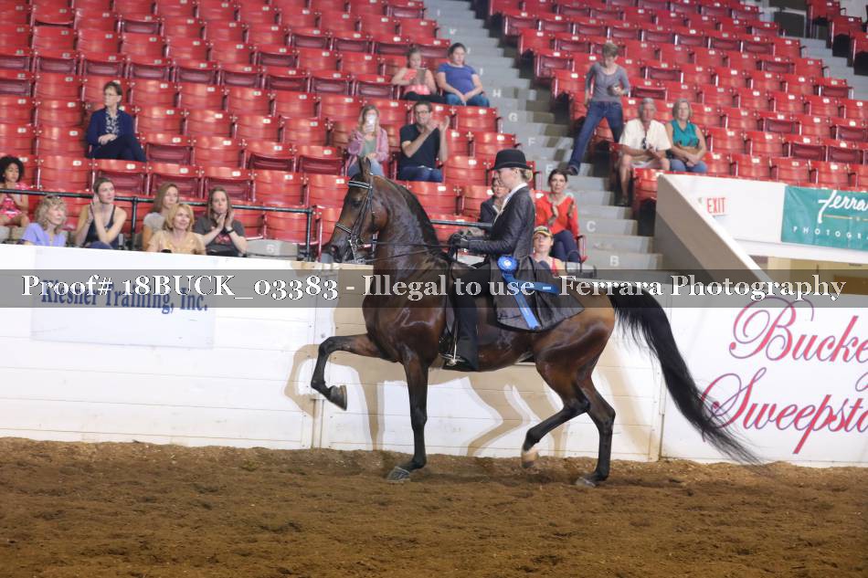 Proof Number 18BUCK_03383