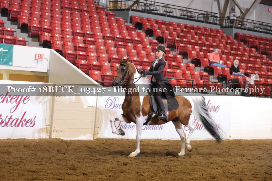 Proof Number 18BUCK_03427