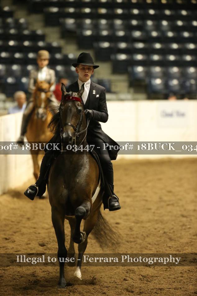 Proof Number 18BUCK_03447