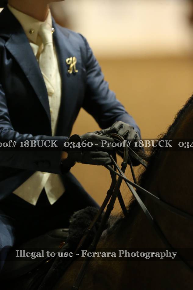 Proof Number 18BUCK_03460
