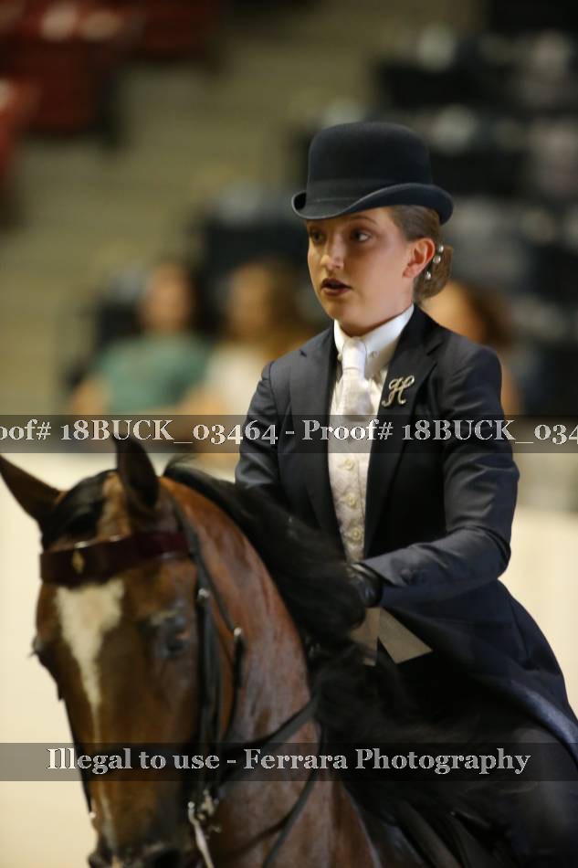 Proof Number 18BUCK_03464