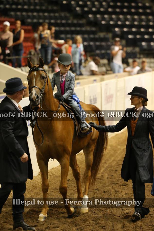 Proof Number 18BUCK_03615