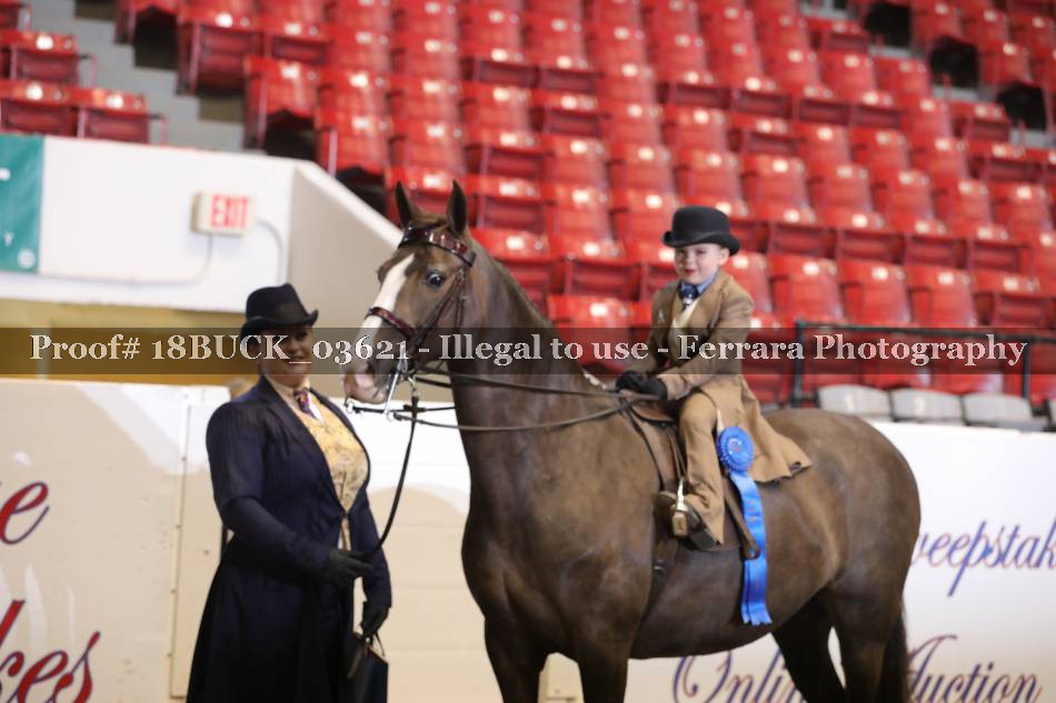Proof Number 18BUCK_03621