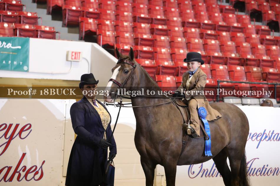 Proof Number 18BUCK_03623