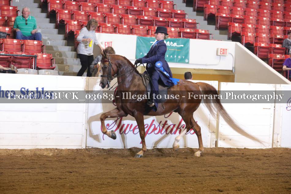 Proof Number 18BUCK_03683