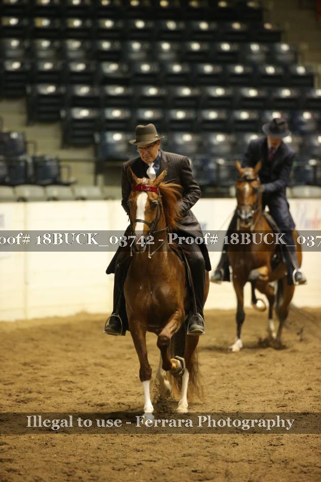 Proof Number 18BUCK_03742