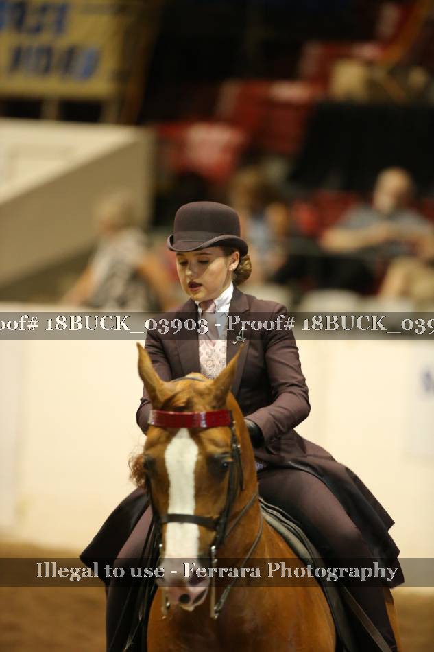 Proof Number 18BUCK_03903