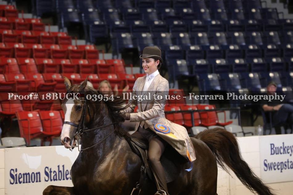 Proof Number 18BUCK_03954