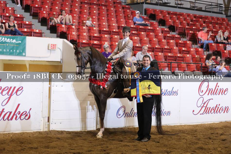 Proof Number 18BUCK_03957