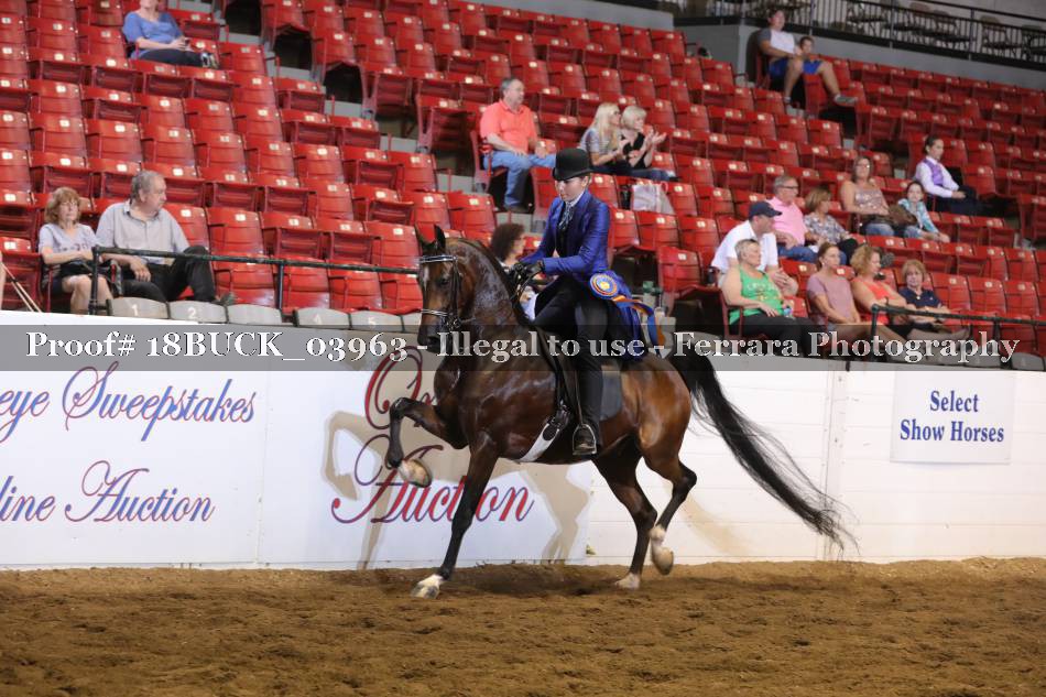 Proof Number 18BUCK_03963