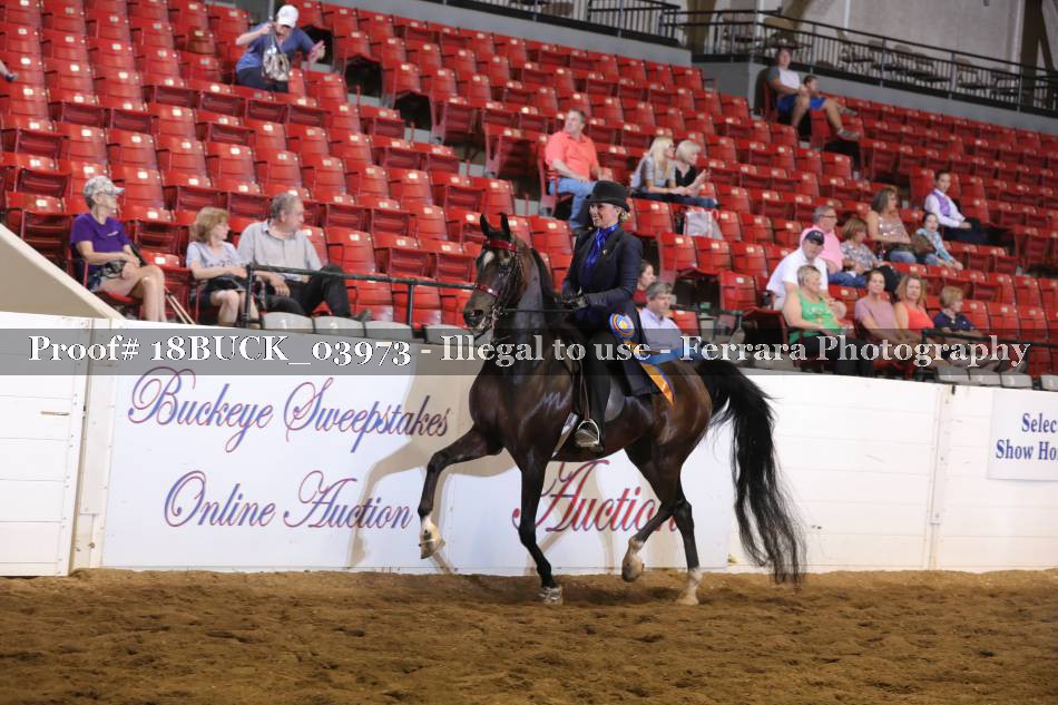 Proof Number 18BUCK_03973