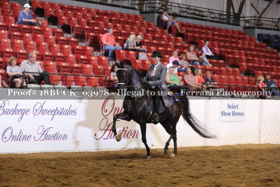 Proof Number 18BUCK_03978