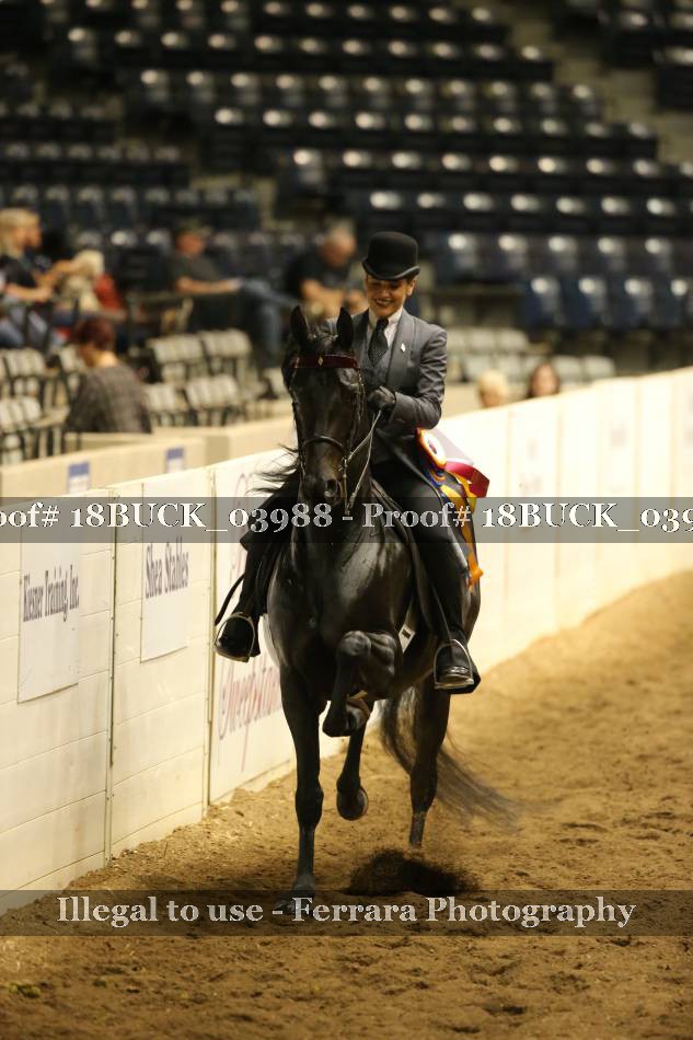 Proof Number 18BUCK_03988