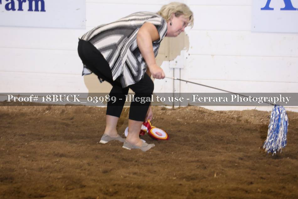 Proof Number 18BUCK_03989