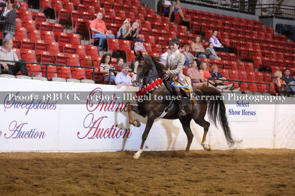 Proof Number 18BUCK_03991