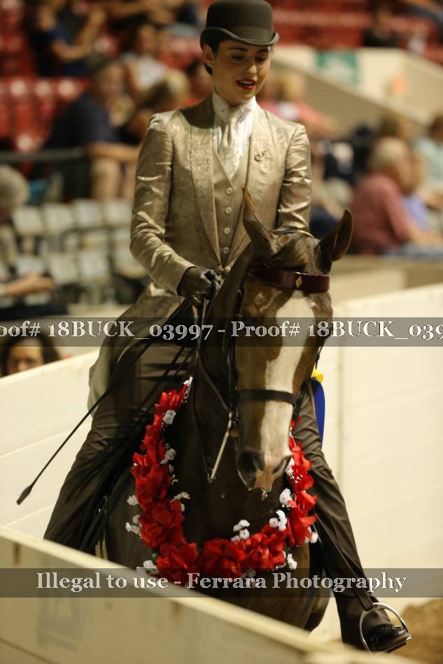 Proof Number 18BUCK_03997