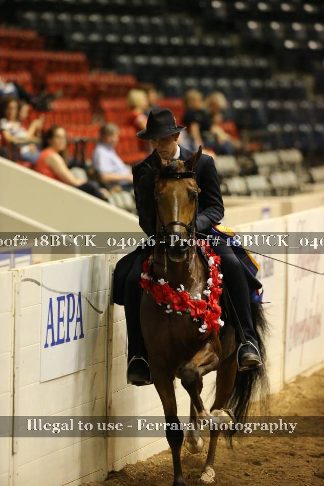 Proof Number 18BUCK_04046