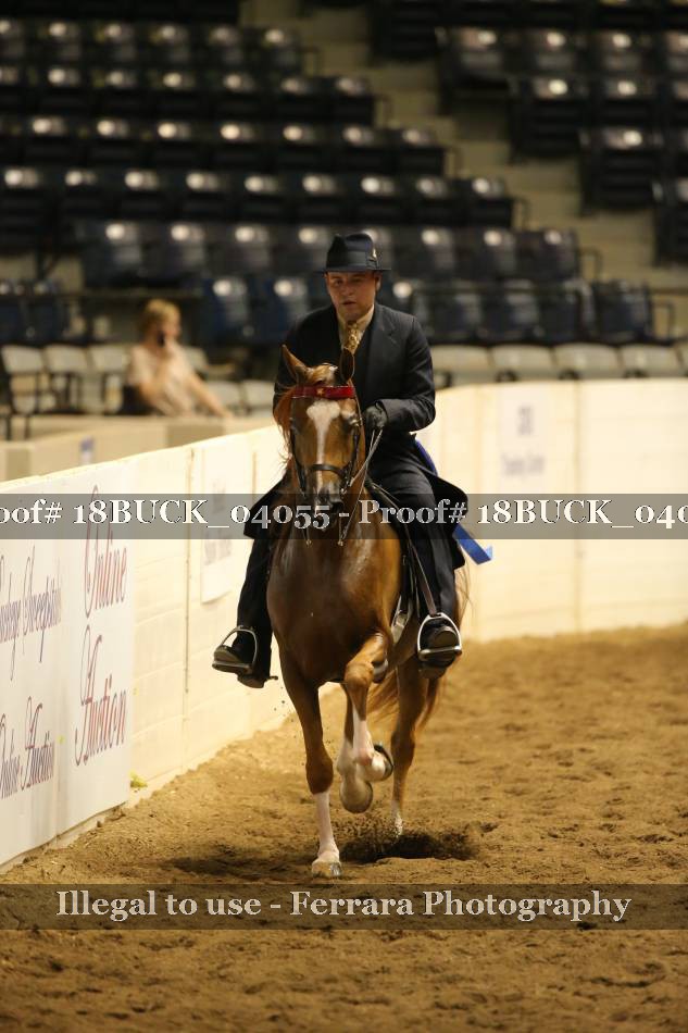 Proof Number 18BUCK_04055