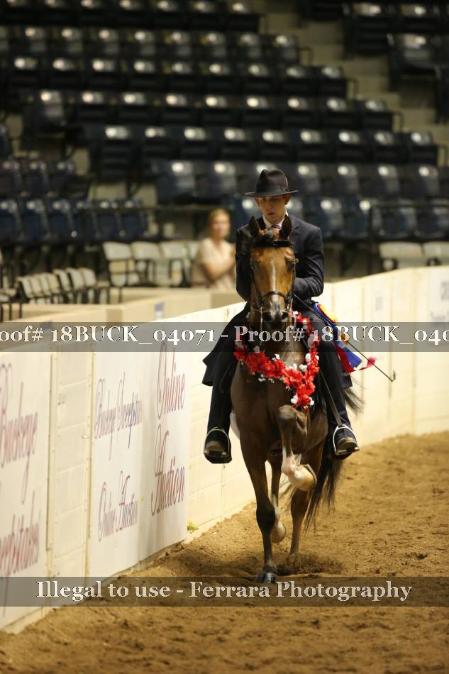Proof Number 18BUCK_04071