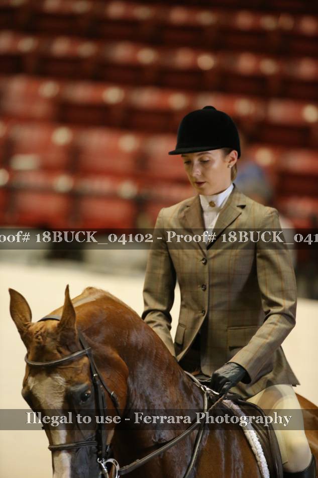 Proof Number 18BUCK_04102
